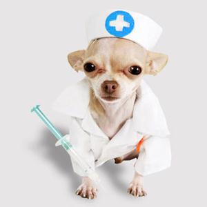 Ветпомощь на дому Приморского